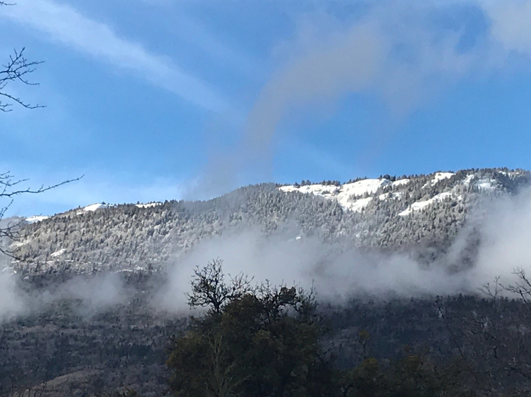 Sergy旅游攻略图片