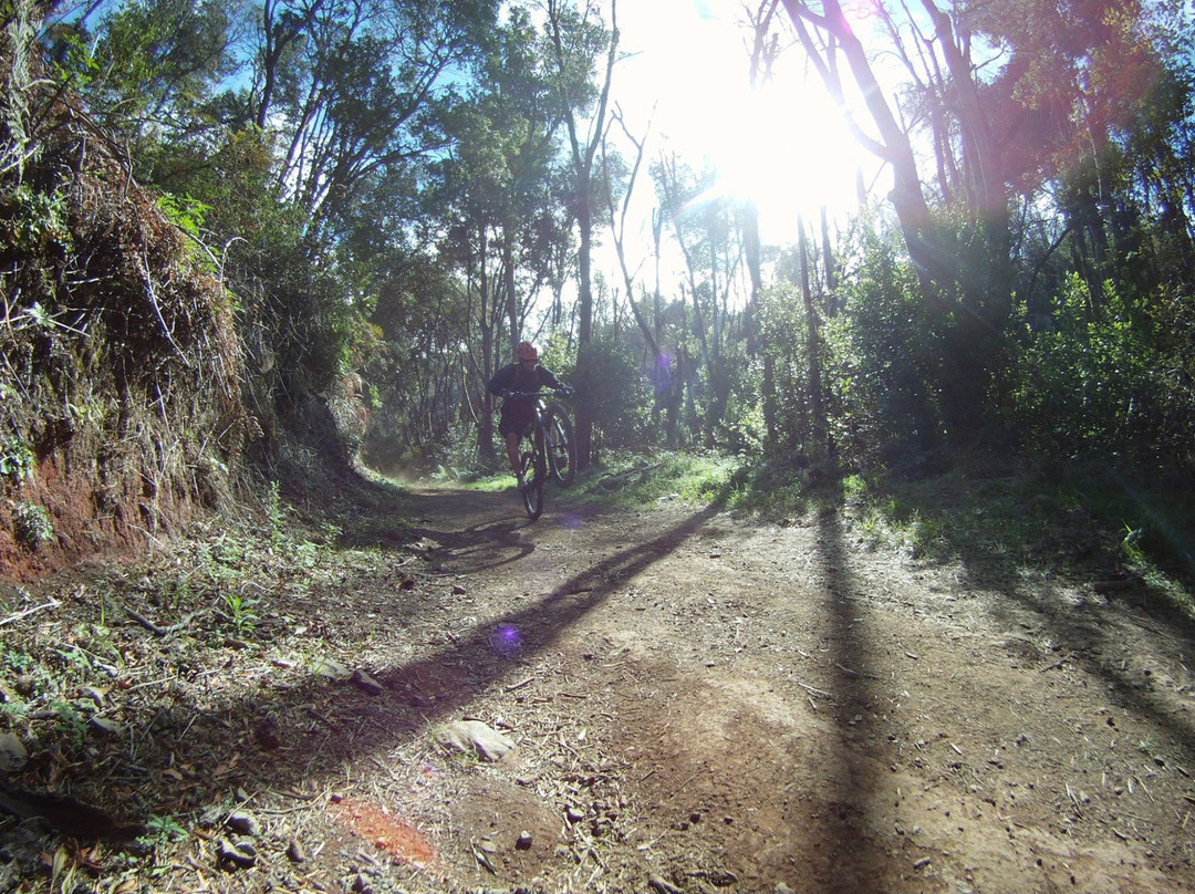 Bike Station Gomera-Valle Gran Rey必去景点
