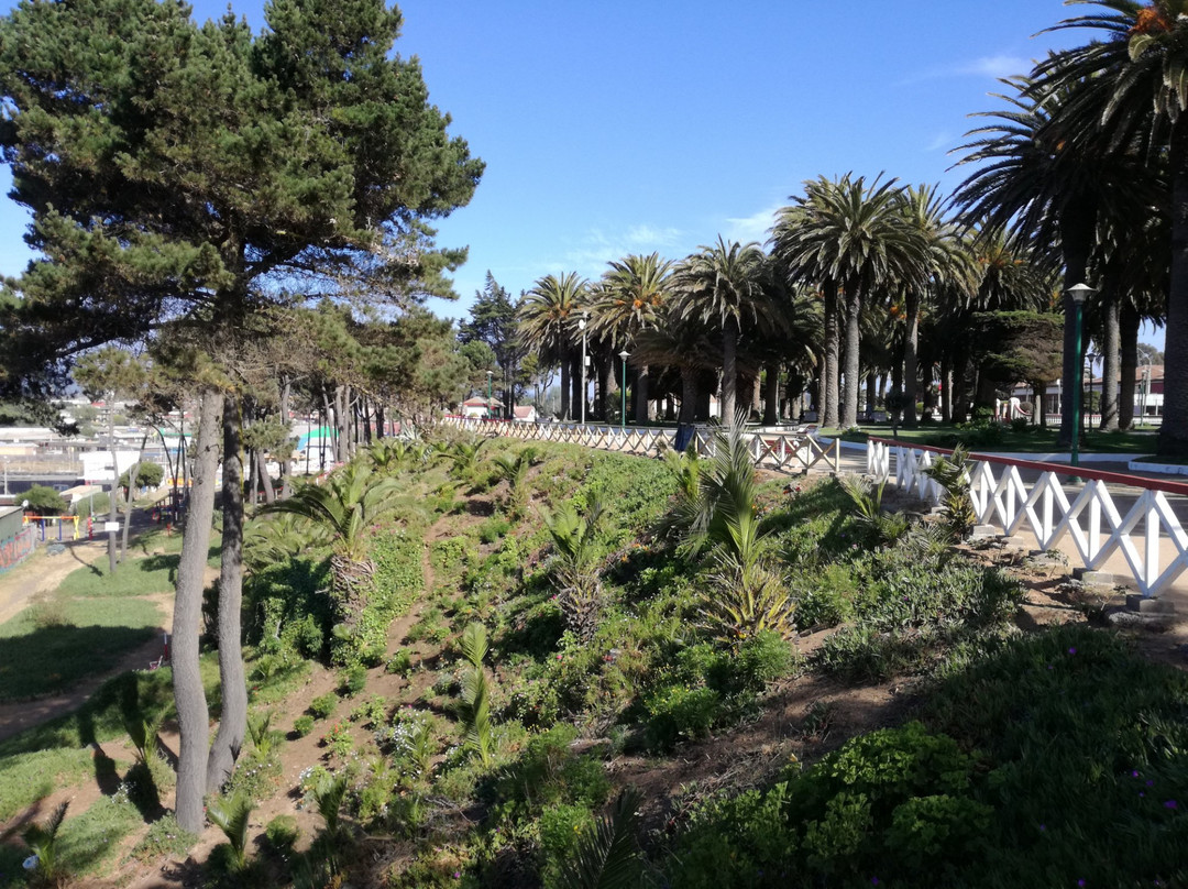 Parque Ross-皮钦勒姆必去景点