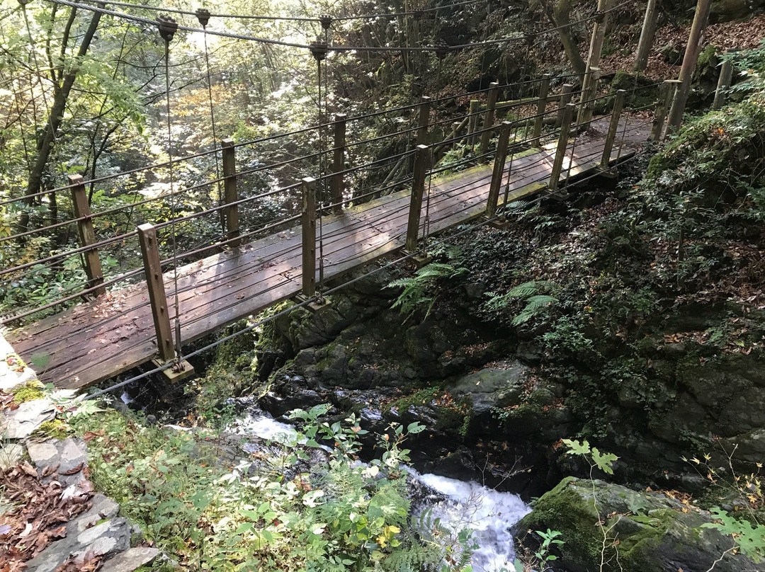 Supension Bridge, Umenoki Todoroki Park-八代市必去景点