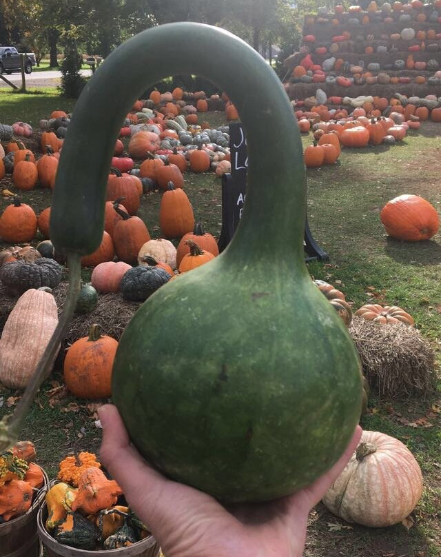 Johnston Fruit Farms-Swanton必去景点