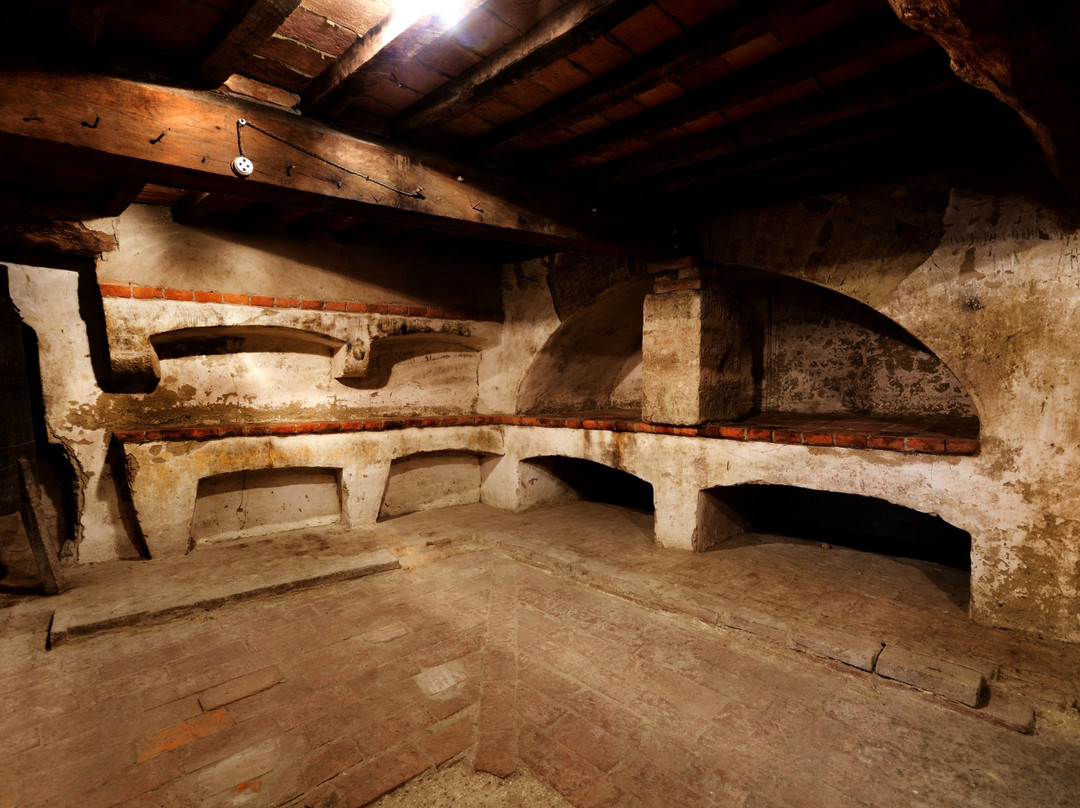 Museo dell'Antica Grancia e dell'Olio景点图片