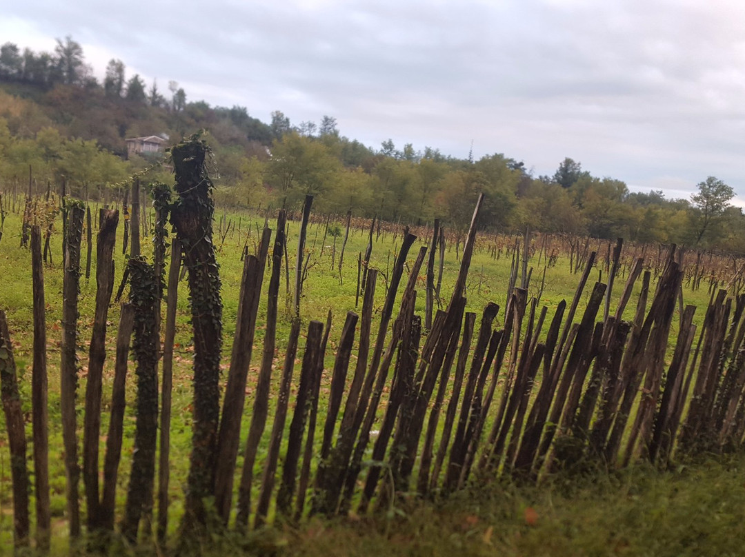 Salkhino旅游攻略图片