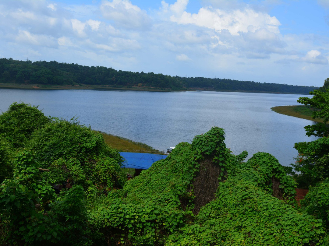 Sasthamkotta Lake景点图片