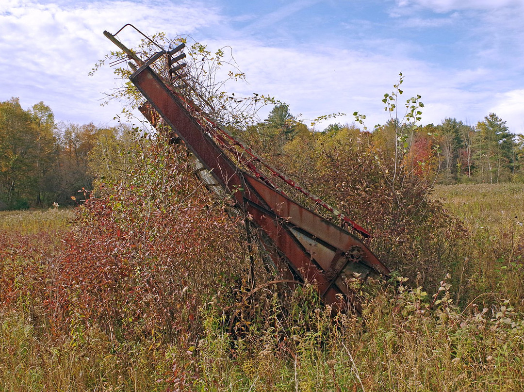 Mountain Meadow Preserve-威廉斯敦必去景点
