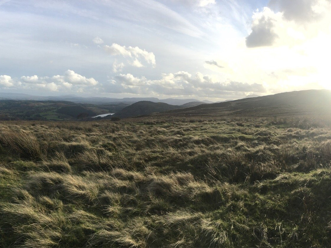 Snowdonia Safaris景点图片