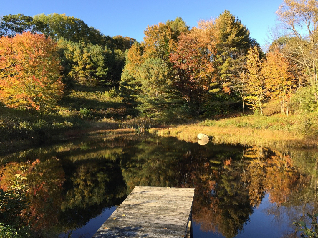 Henry Farm Inn主图