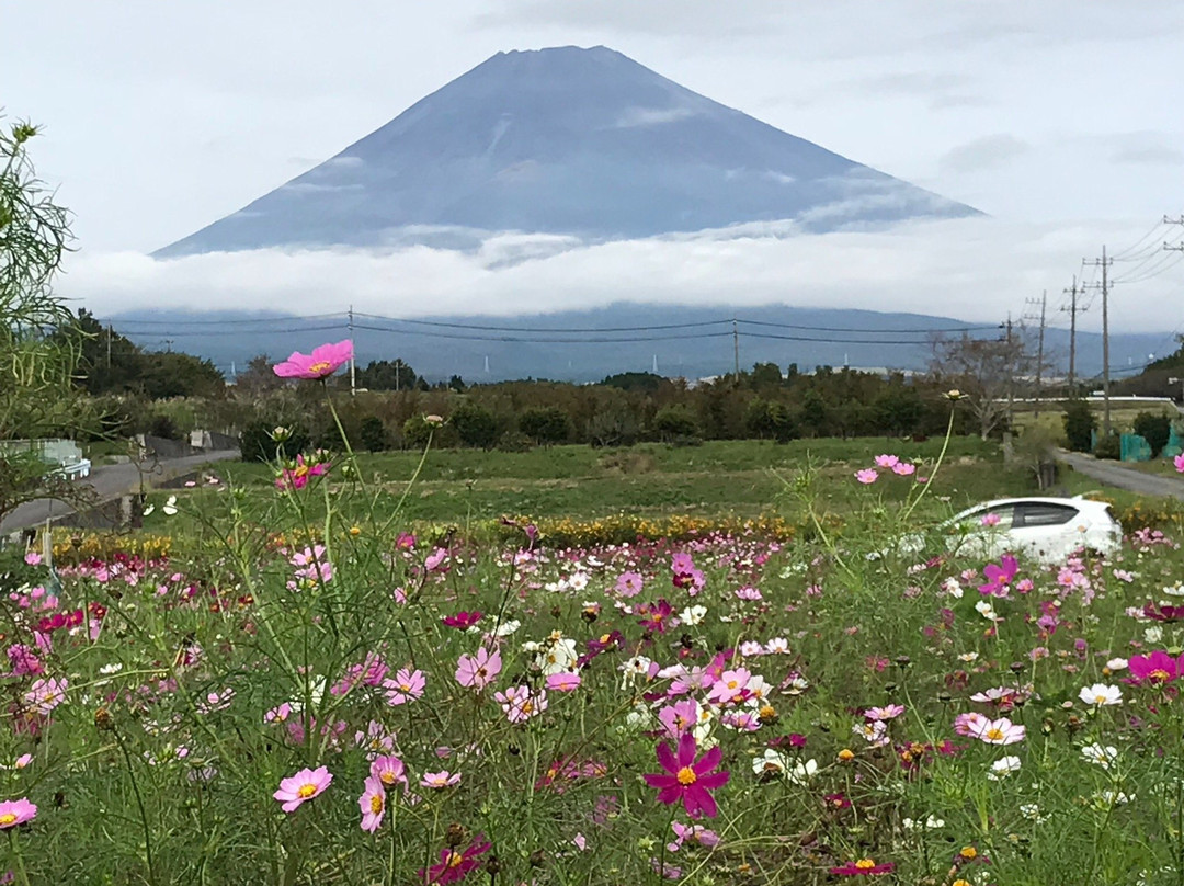Panorama Yuka no Sato-裾野市必去景点
