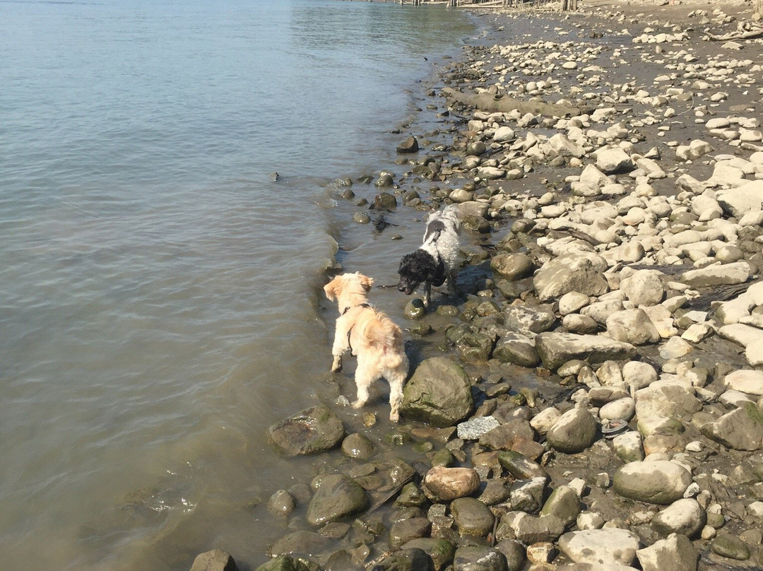 Kanaka Creek Riverfront Trail-枫树岭必去景点