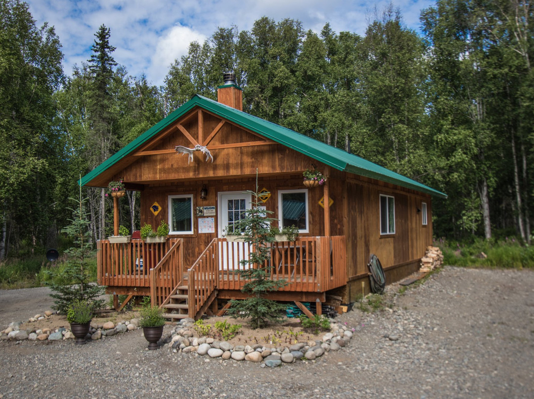 塔基特纳荒野山林小屋出租酒店