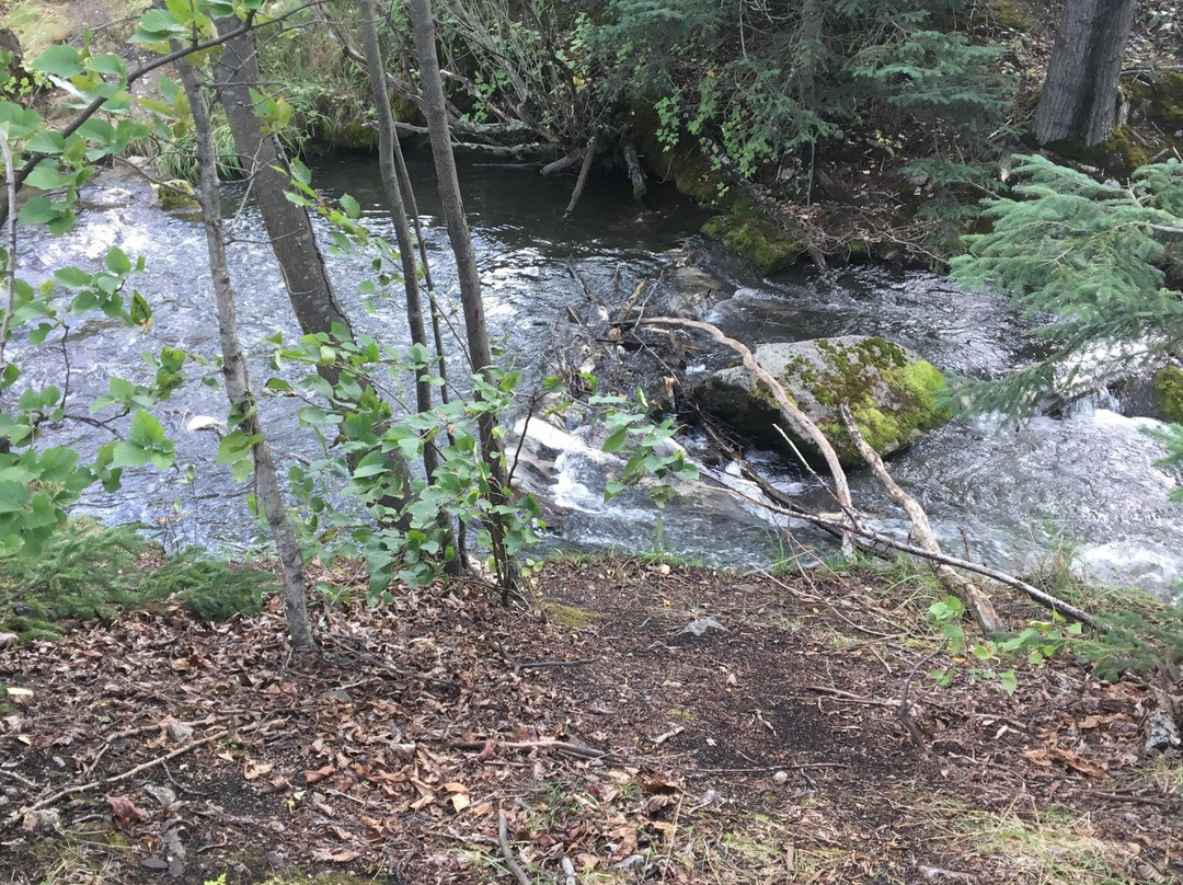 Pullen Creek Stream Walk-史凯威必去景点