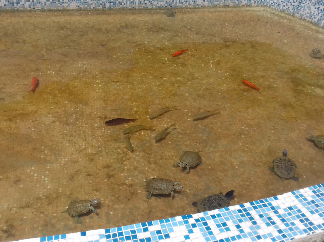 Oceanographic Museum-迦太基必去景点