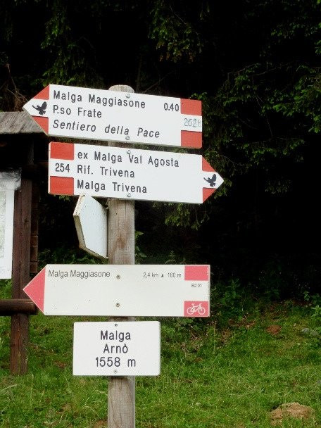 Malga D'Arnò景点图片