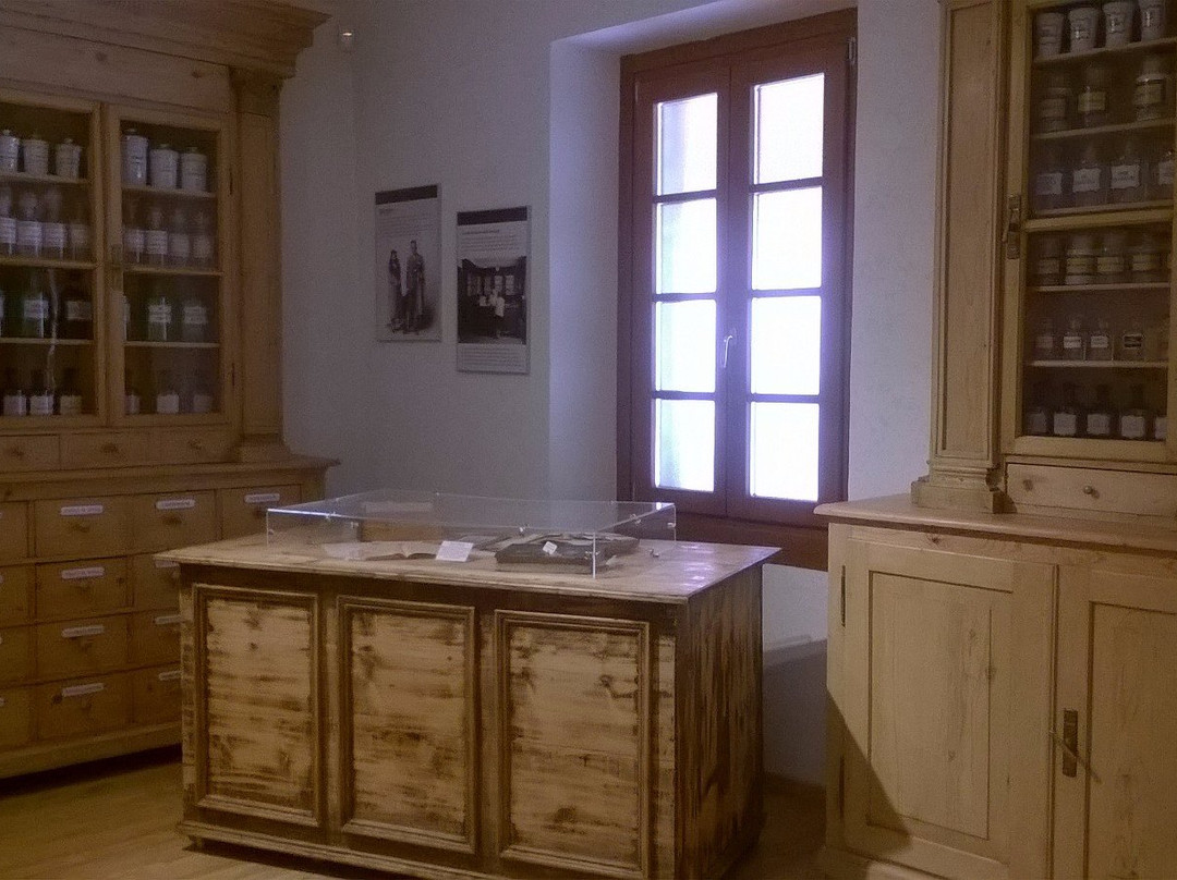 Museo del Laboratorio Farmaceutico Foletto景点图片