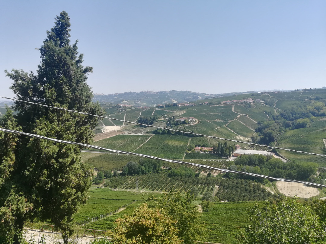 Castiglione Falletto旅游攻略图片