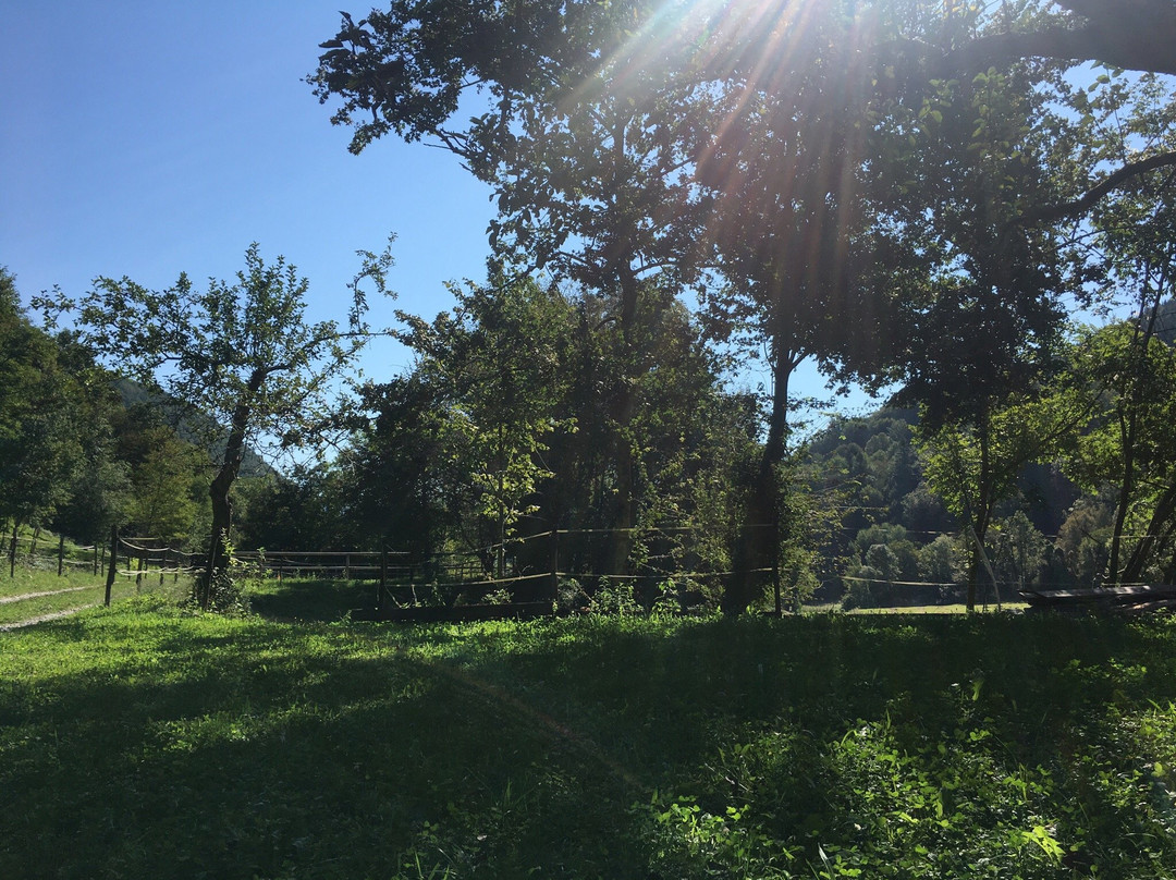 Horse Riding Club Ranch Pelance景点图片