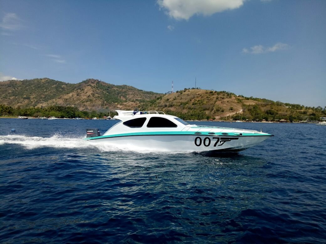 Gili Trawangan Turtle Hatchery景点图片