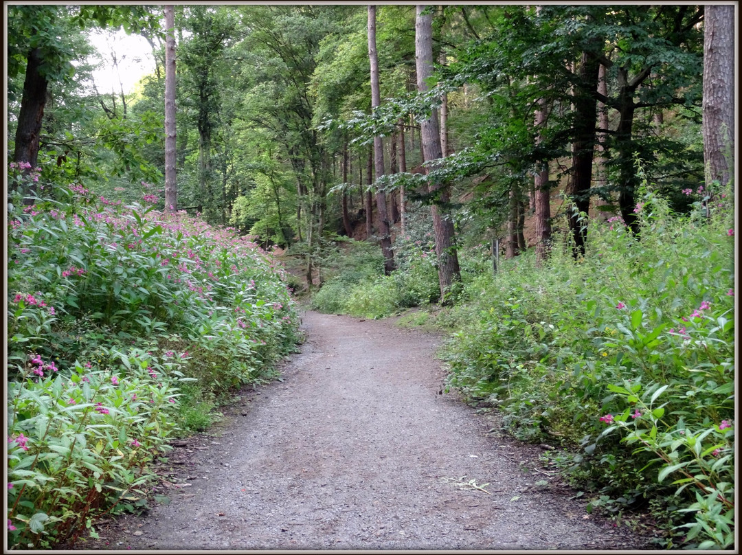Burg Hardenstein-维滕必去景点