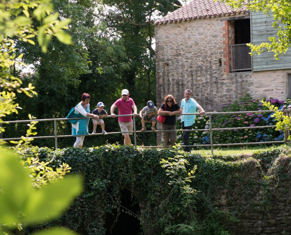 Moulin de Rambourg景点图片