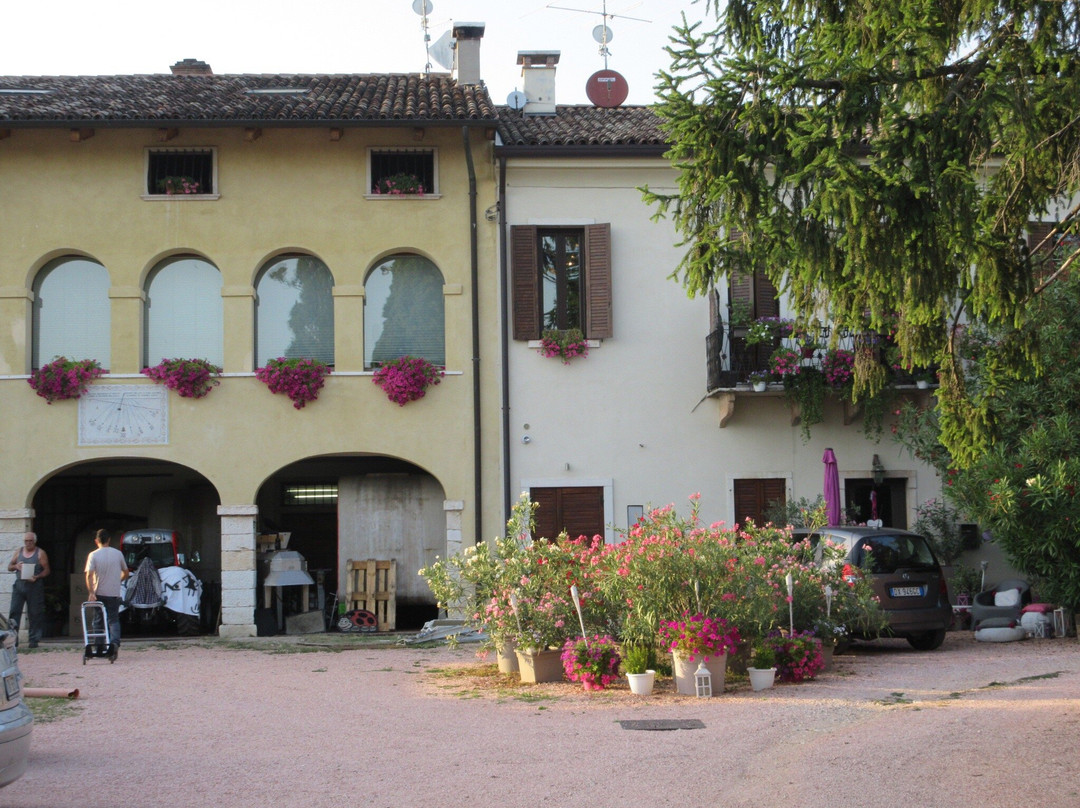 Le Bertarole Azienda Agricola景点图片