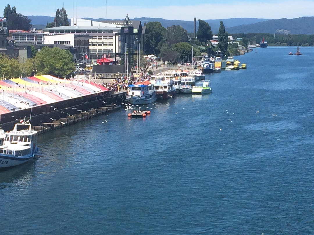 Plaza Pedro de Valdivia-瓦尔迪维亚必去景点