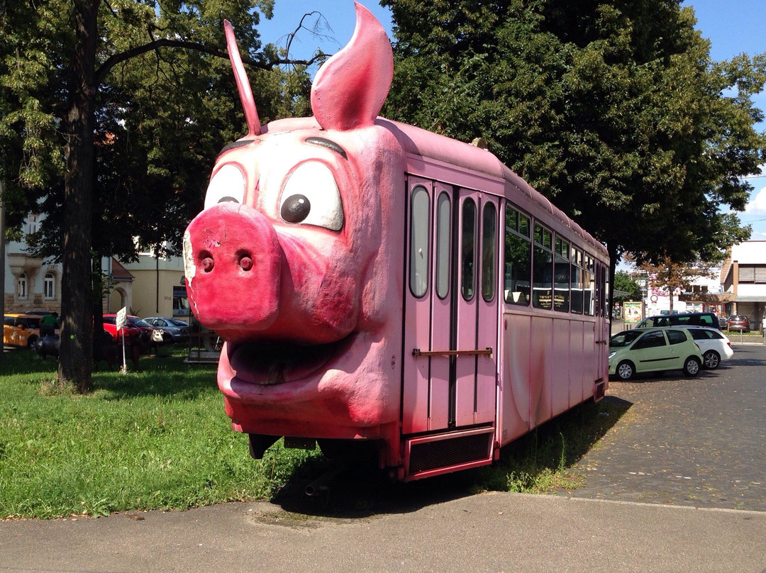 Schweine-Museum景点图片
