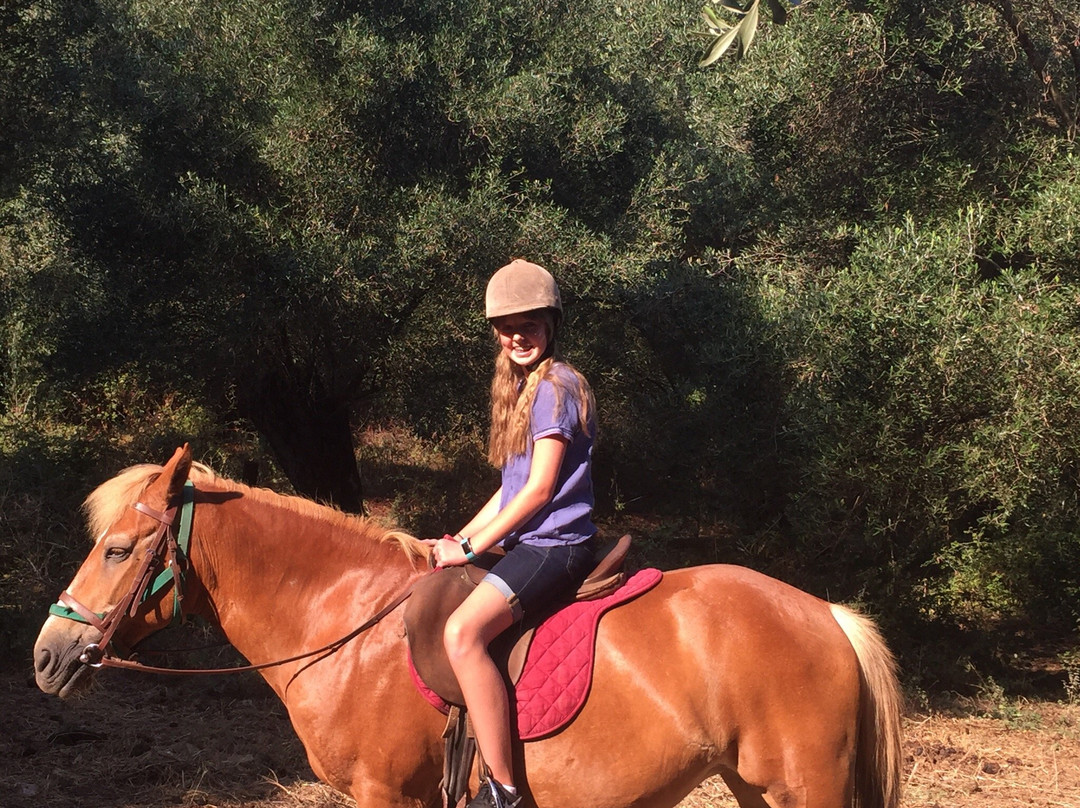 Corfu Riding Centre (Dimitris)ISSOS-Avlaki必去景点