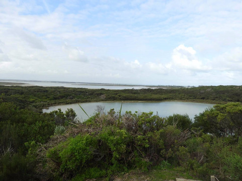 Beachport Visitor Information Centre-海滩港必去景点