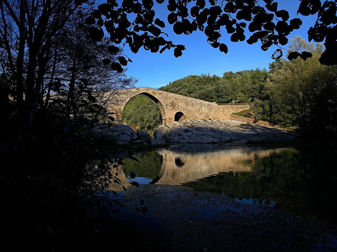 Pont de Pedret景点图片