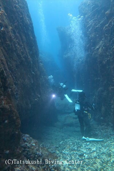 Tatsukushi Diving Center-土佐清水市必去景点