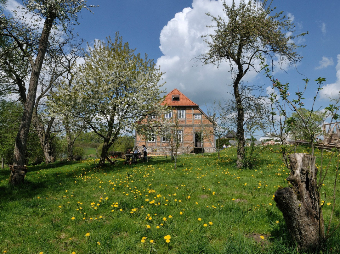 Wittenburg旅游攻略图片