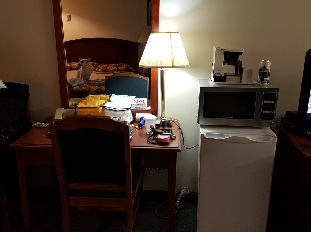 Continental Motel & Dining Lounge主图