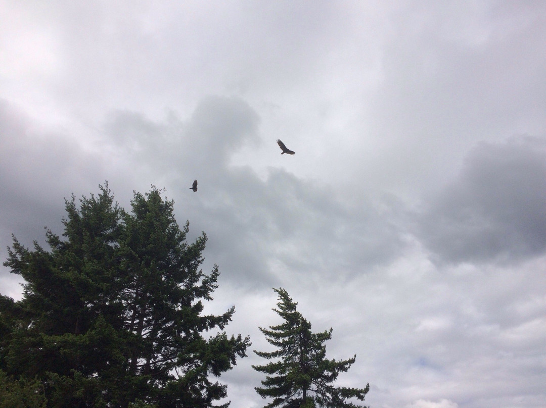 Active Pass Lighthouse-Mayne Island必去景点