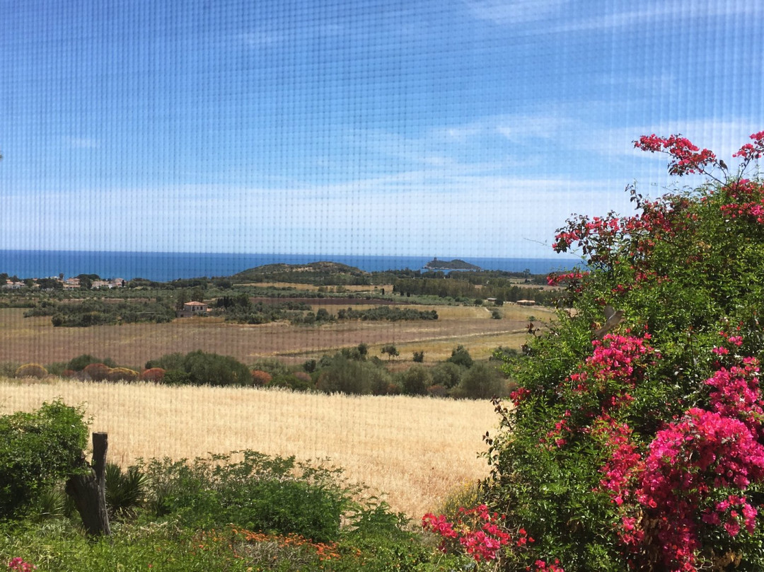 Agriturismo Schirru
