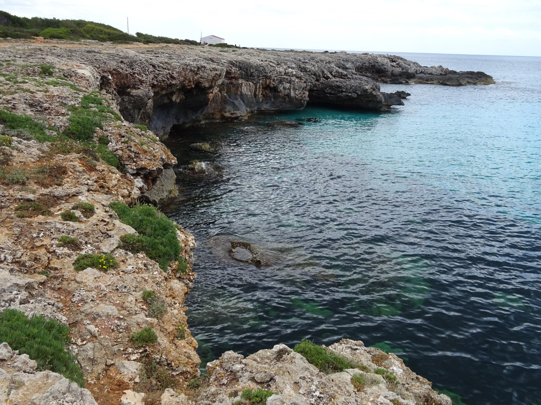 Playa de Son Xoriguer景点图片