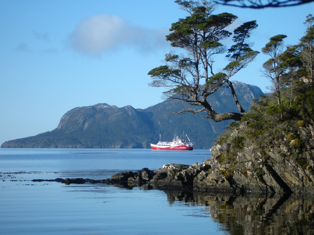 Expedición Fitz Roy-蓬塔阿雷纳斯必去景点