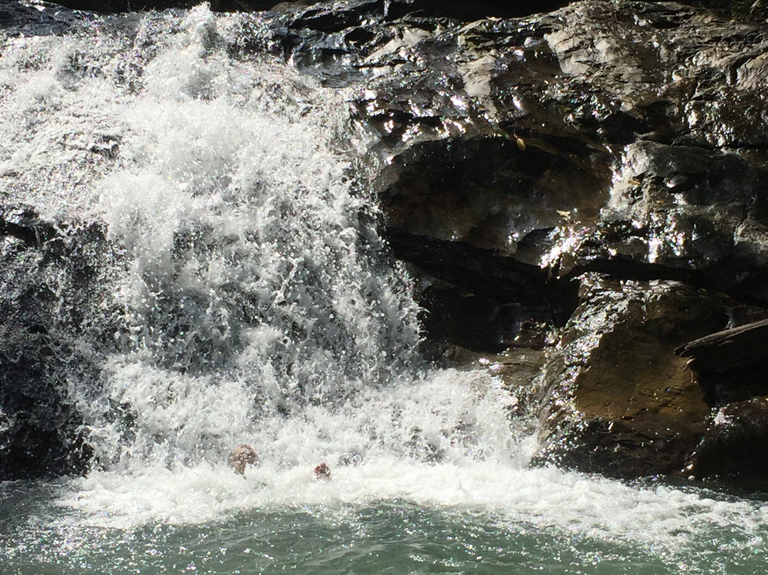 Pulai Waterfall景点图片