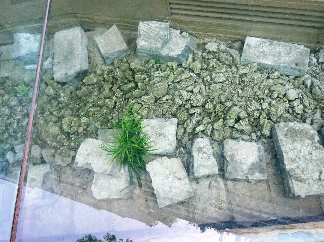 上海古城墙景点图片