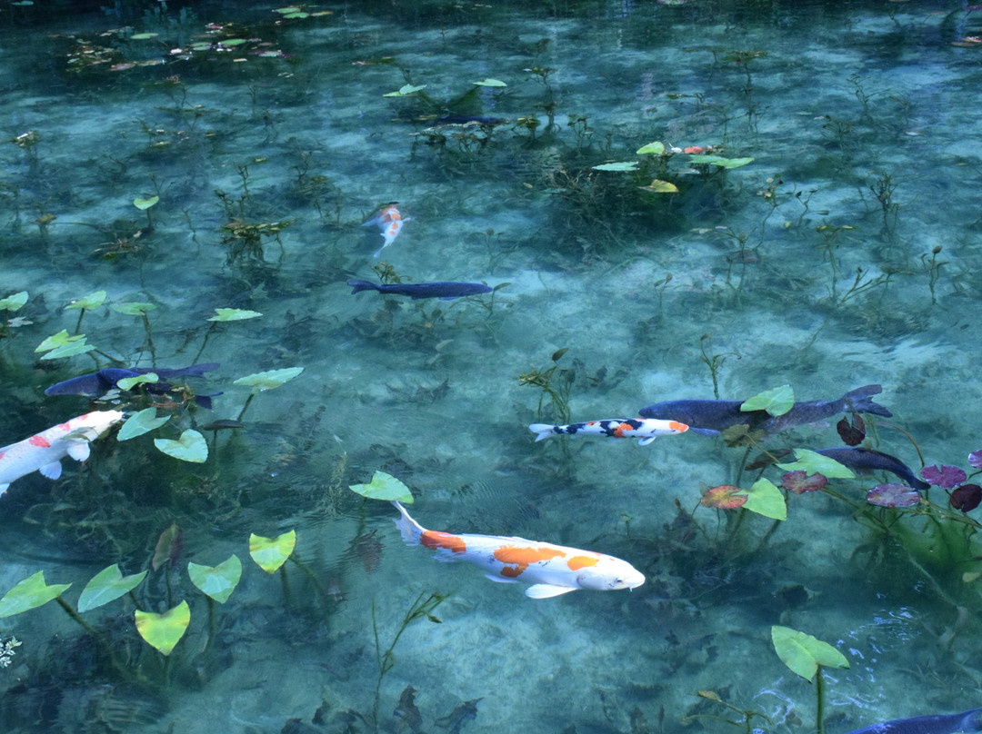 Nemichi Shrine-关市必去景点