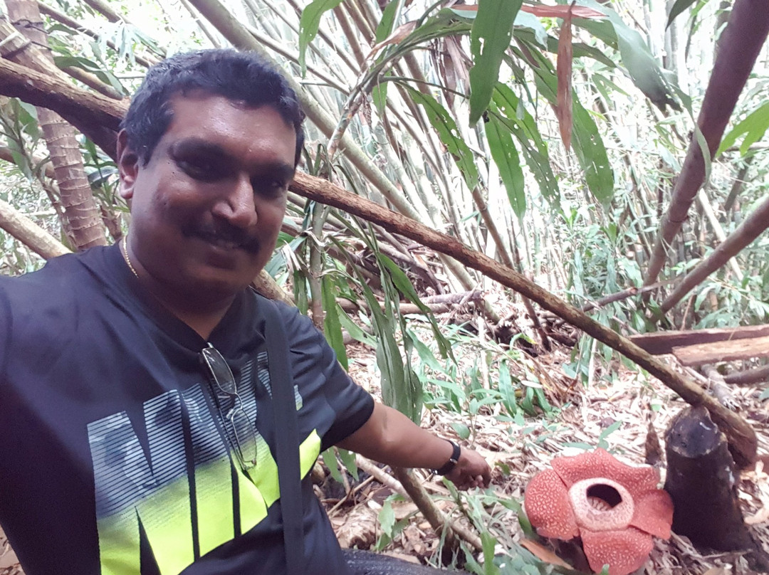 Kokob Rafflesia Conservation Garden-拉瑙必去景点