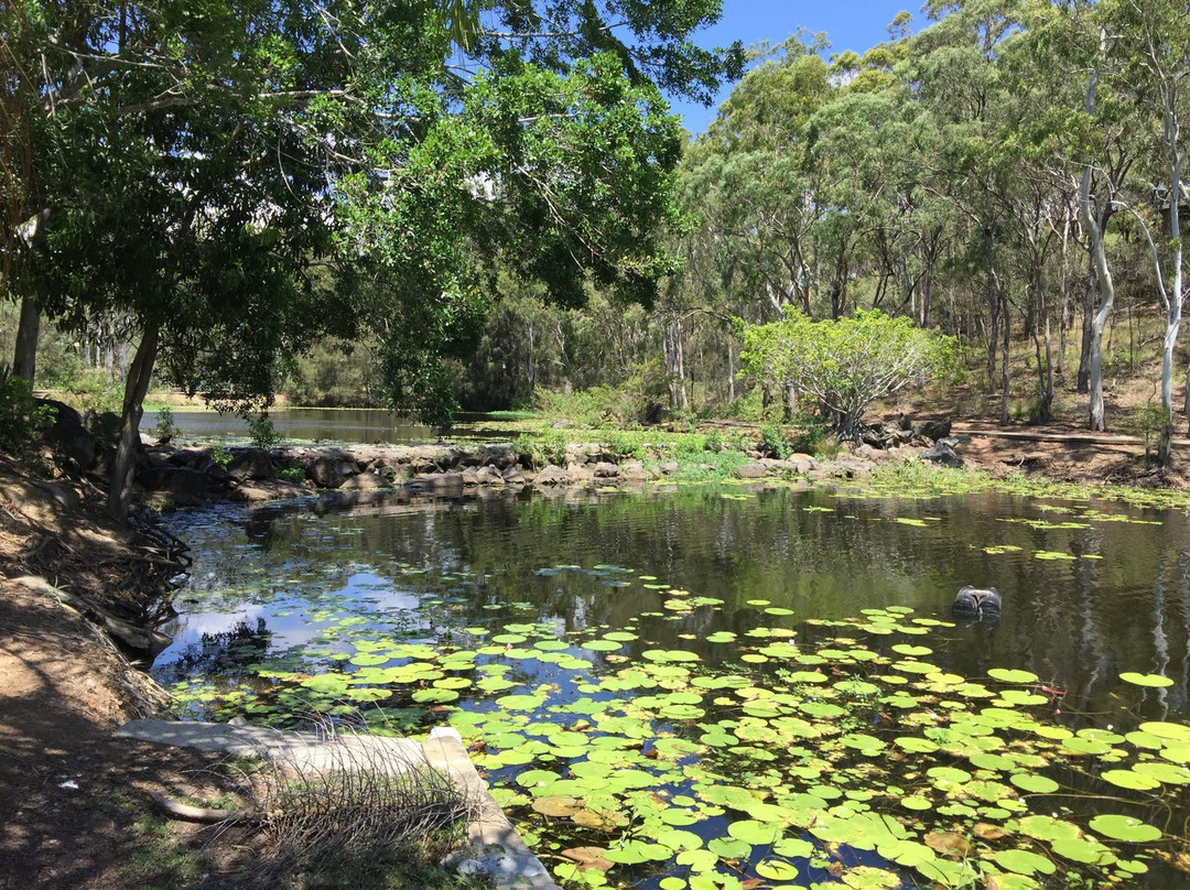 Gladstone旅游攻略图片