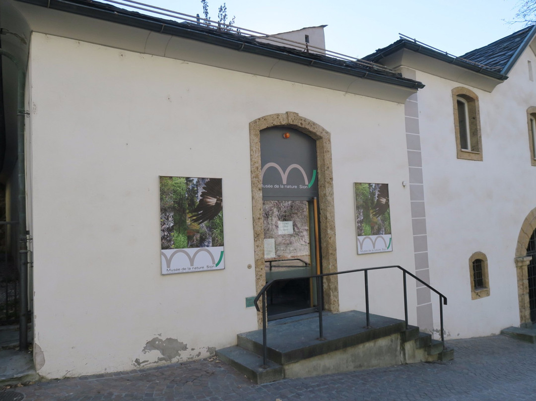 Valais Nature Museum