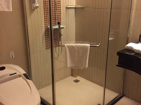 东辰大酒店主图