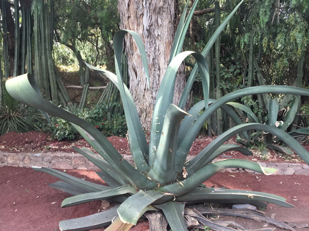 Comercializadora Artesanal Teotihuacan-圣胡安特奥蒂瓦坎必去景点