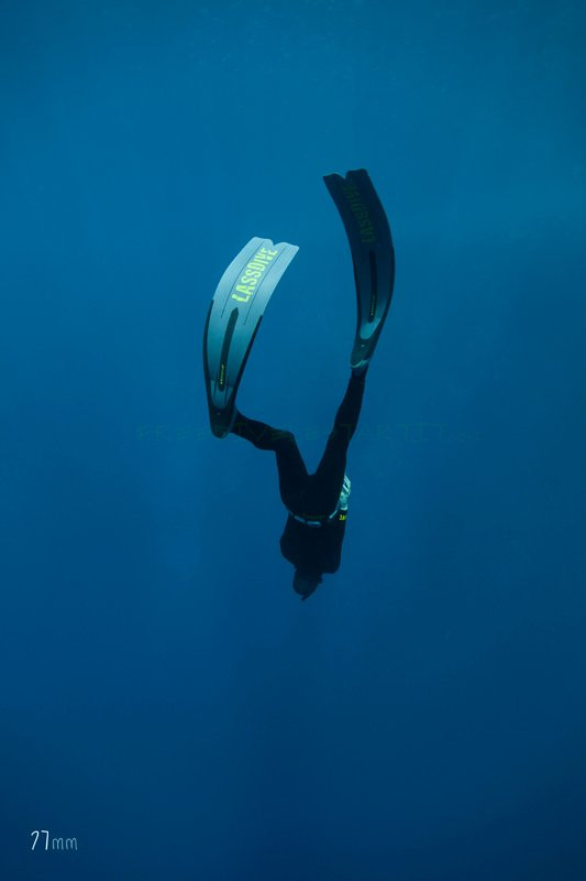 Freedive l'Estartit景点图片