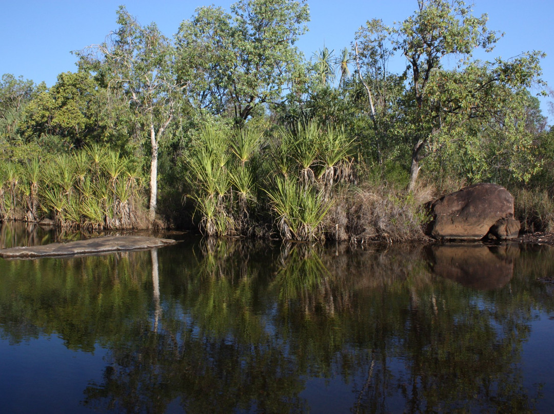 Mitchell River National Park景点图片