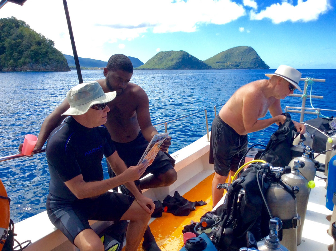 JC Ocean Adventures-Cabrits National Park必去景点