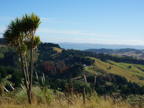Mount Auckland Atuanui Walkway-奥克兰中心地区必去景点