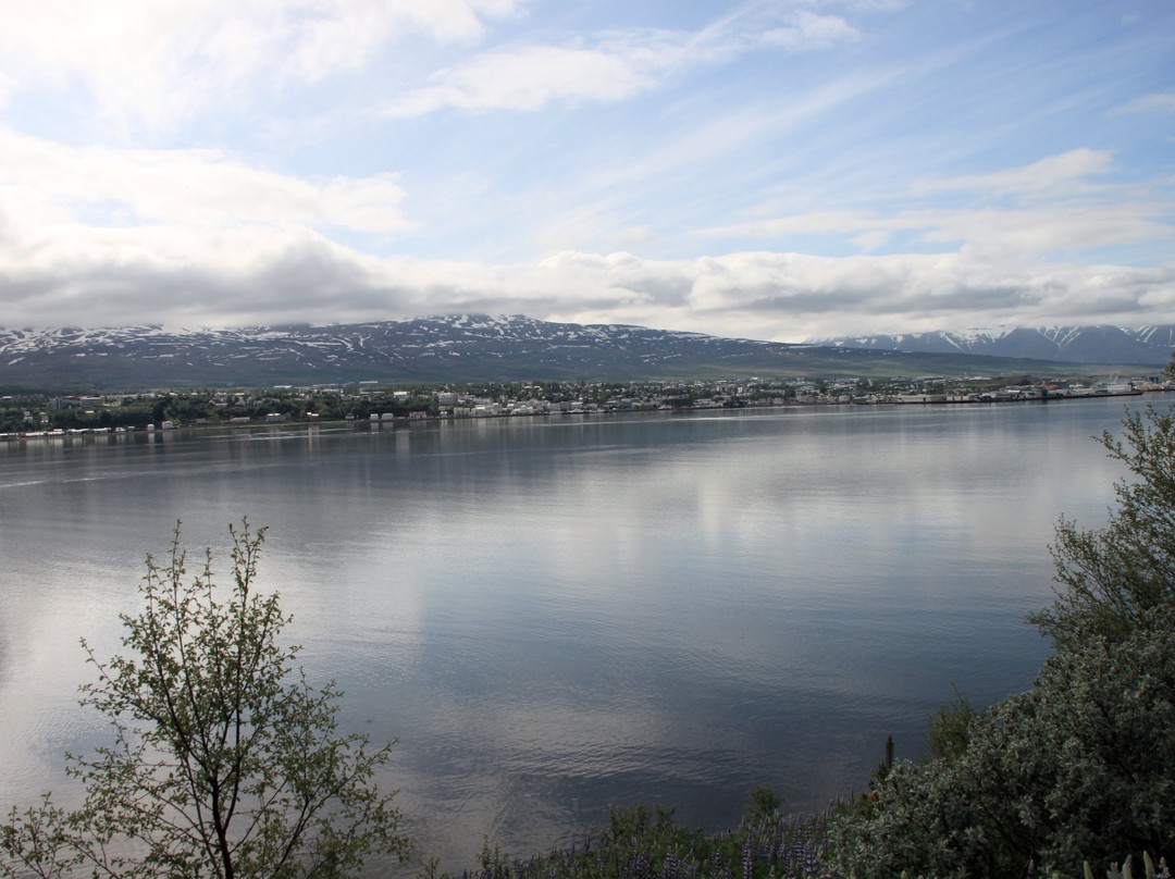 Estuary of the river Eyjafjardará-阿克雷里必去景点