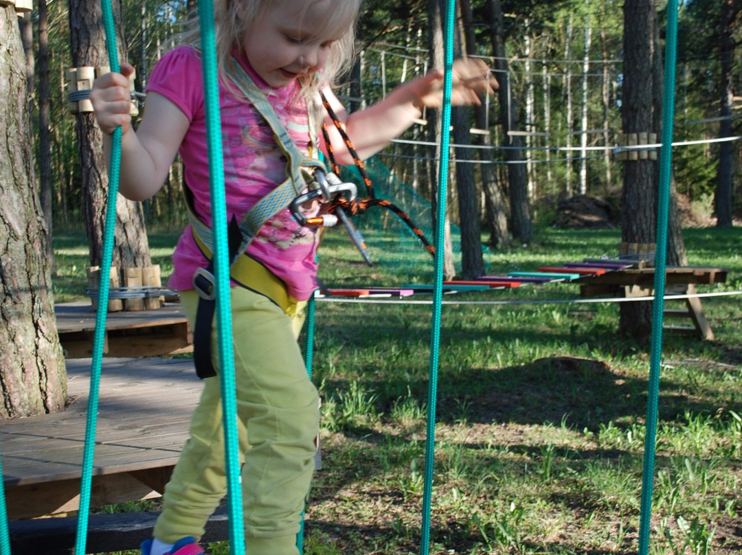 Hallikivi Adventure Park-Saaremaa必去景点